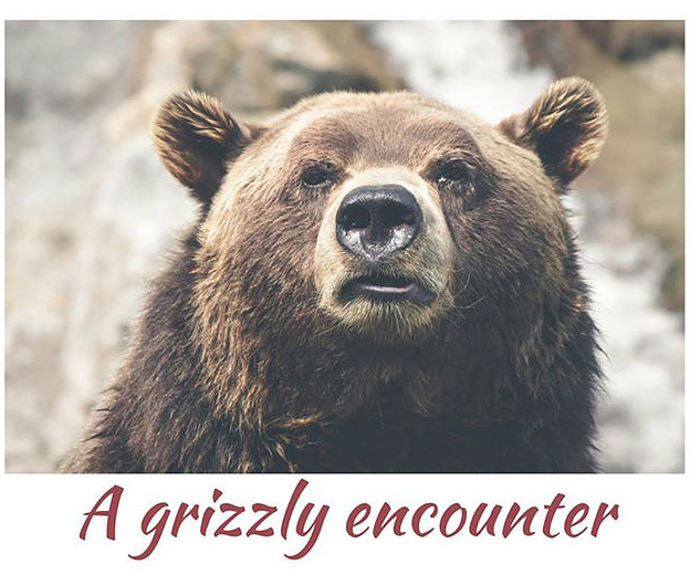 I Survived a Grizzly Encounter