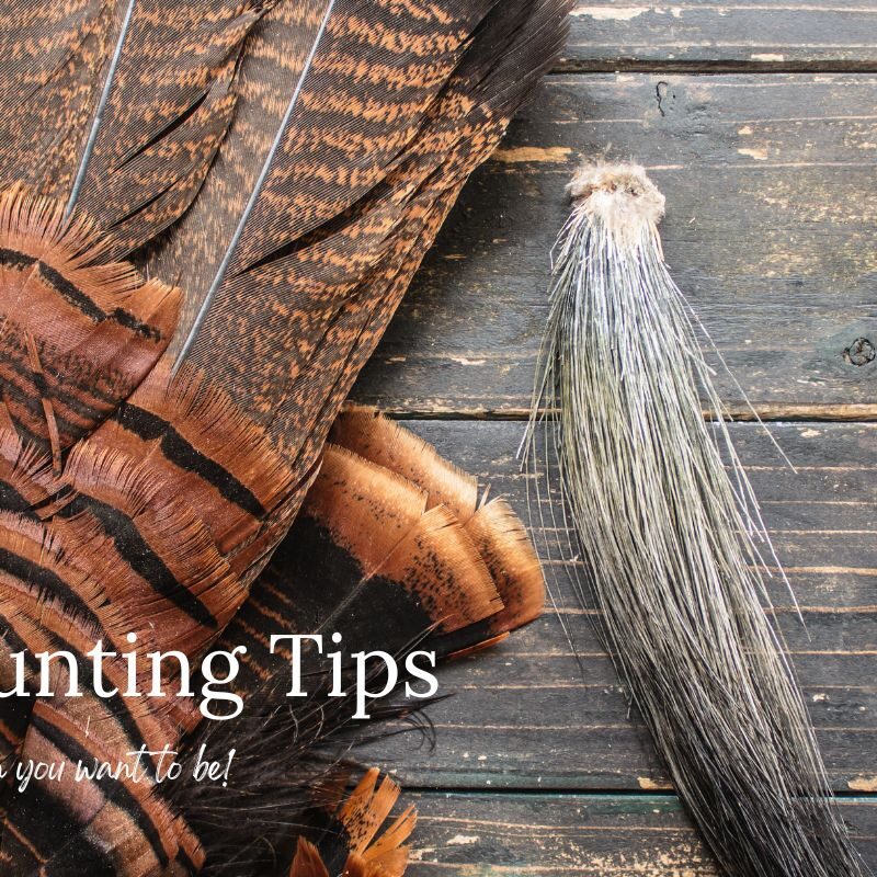 Turkey Hunting Tips