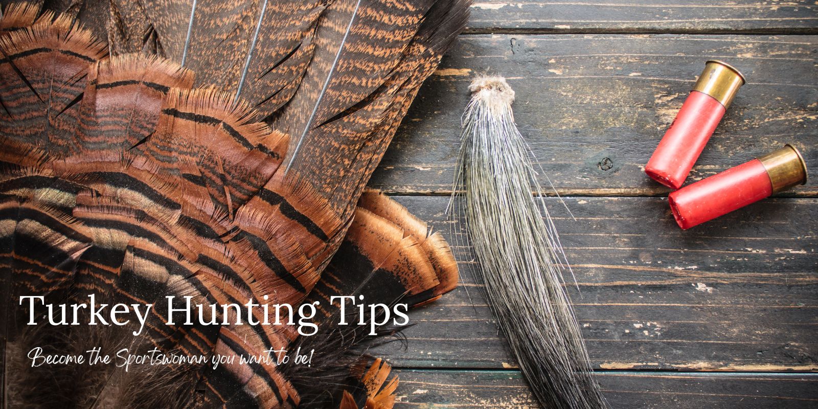 Turkey Hunting Tips