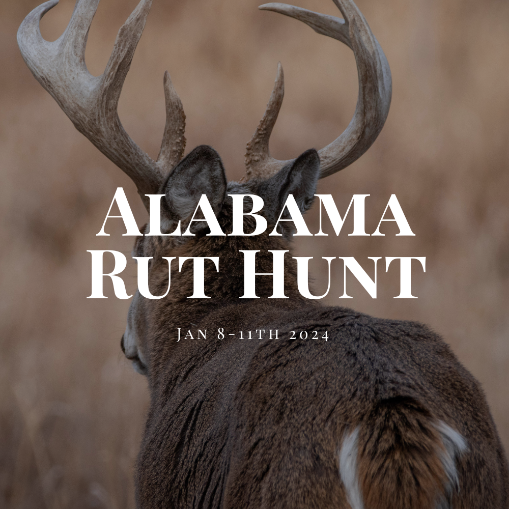 Alabama Whitetail Hunt