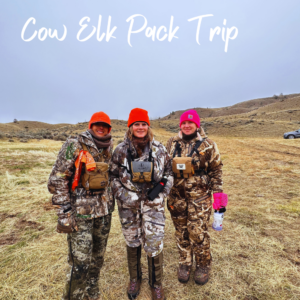 Cow elk Pack Trip