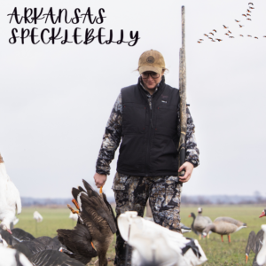 Arkansas Specklebelly goose hunt