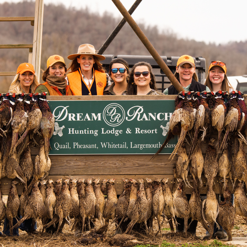Dream Ranch