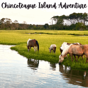 Chincoteague Island Adventure (August 20-23rd, 2026)