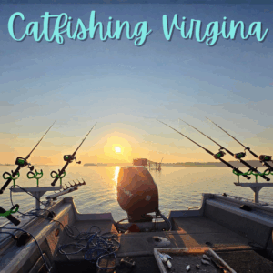 Boat with fishing rods