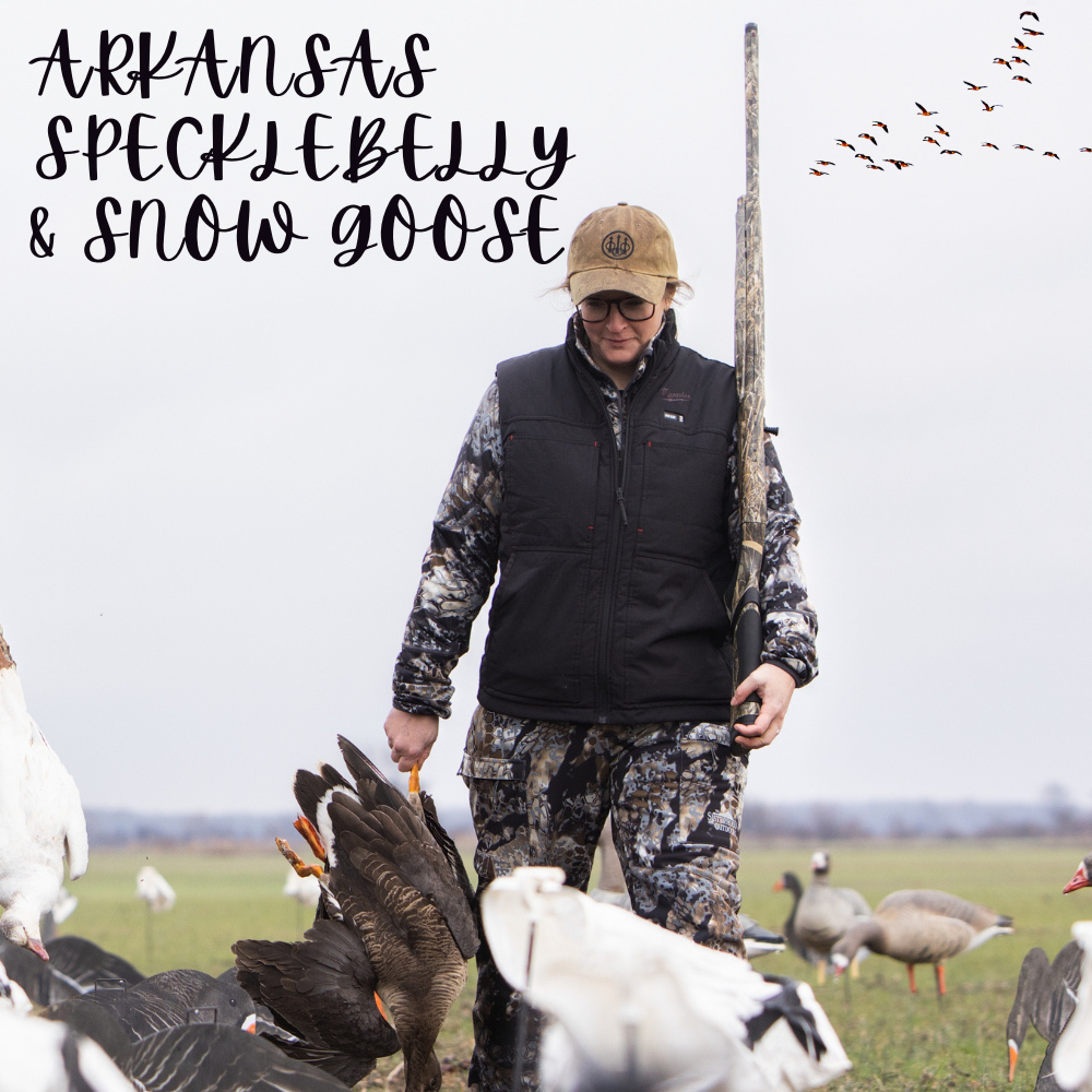 Arkansas Speck and Snow Goose