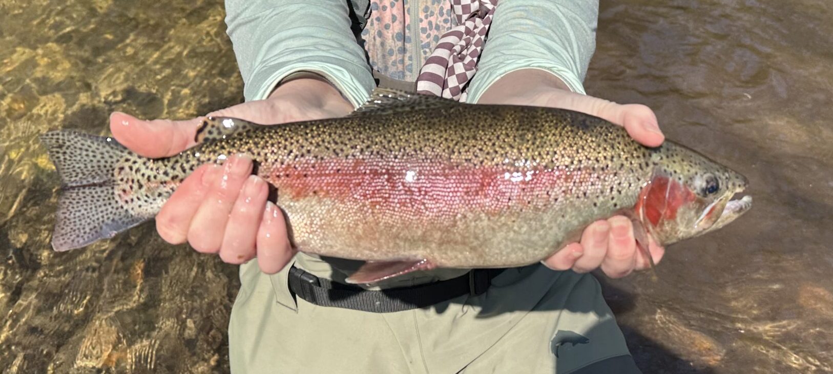 Blue Ridge Cast & Blast